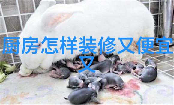 统计局08年微波炉产6286万台同比降2